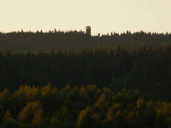Borówkowa - wieża widokowa